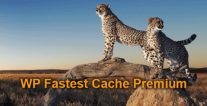 WP Fastest Cache Premium – WordPress Caching & Performance Optimization Plugin