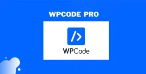WPCode Pro Plugin – The Best WordPress Code Snippets Plugin